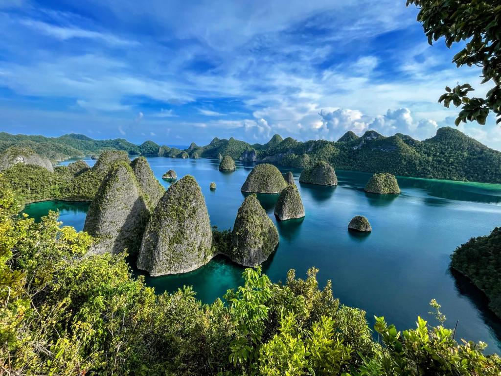 Wisata Raja Ampat 2025: Surga Bawah Laut dan Ekowisata Kelas Dunia