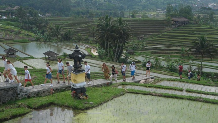 Strategi Pemerintah Mengembangkan Pariwisata Hijau Indonesia 2025: Keberlanjutan, Inovasi, dan Tantangan